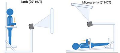 The Influence of Altered-Gravity on Bimanual Coordination: Retention and Transfer